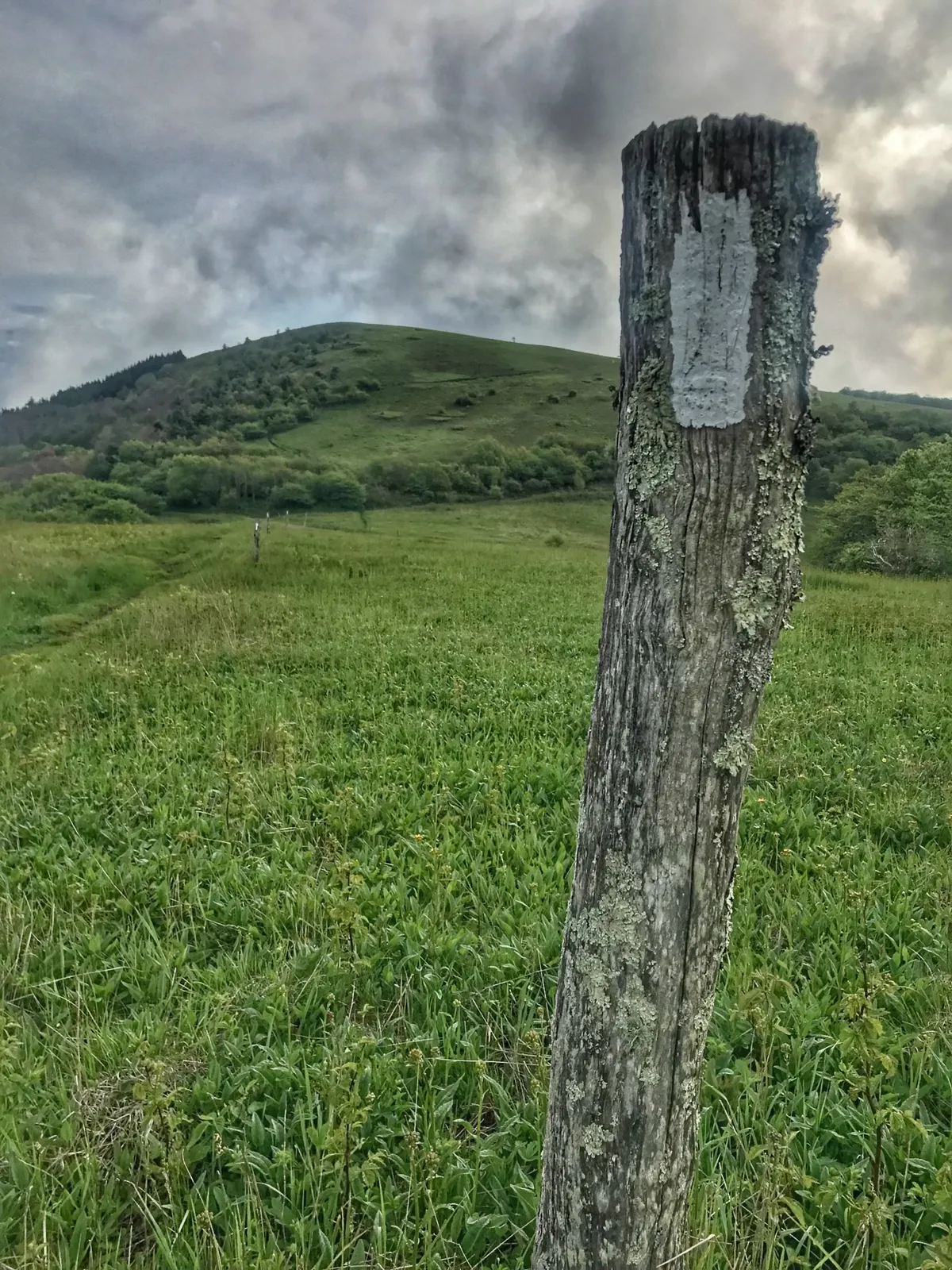 A serene hillside landscape showcases a weathered wooden post overlooking rolling green hills and dense woods. The vista captures the sense of peaceful isolation and open space, ideal for contemplative walks or quiet moments together in nature.