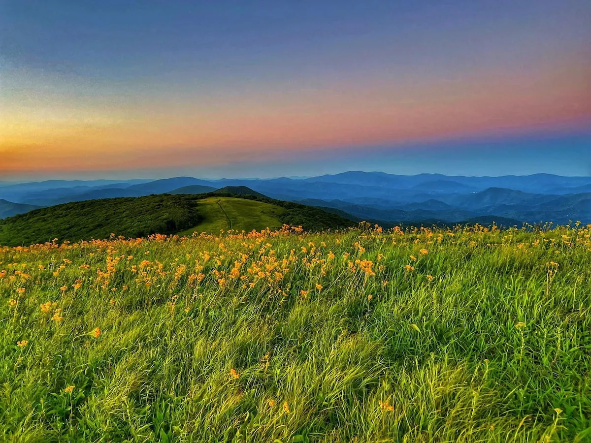 A sweeping view of rolling hills, vibrant wildflowers, distant mountains, and a colorful sky. The scene is tranquil, open, and inviting for hiking, photography, and nature exploration.
